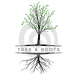 Tree silhouette with green leaves and root. Ecology and nature concept. Vector illustration isolated on white