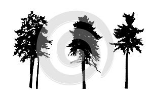 Tree Silhouette Isolated on White Backgorund. Vecrtor Illustration