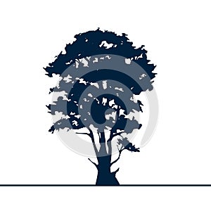Tree silhouette isolated on white backgorund. Vector illustration