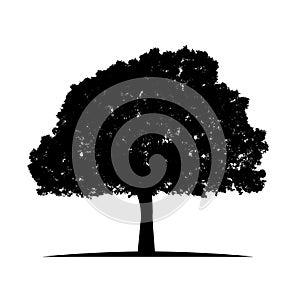 Tree silhouette isolated on white background vector