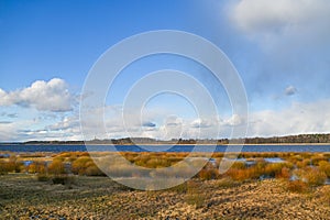 Tree silhouette on lake shore, meadow and green field in early spring sunset, rain clouds forming on horizon