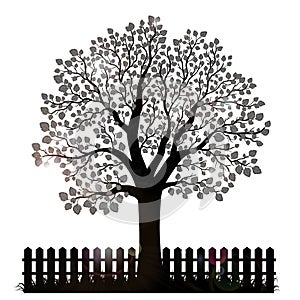 Tree silhouette with leaves and garden fence