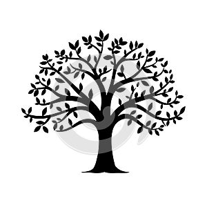 Tree silhouette with leaves isolated on white background.