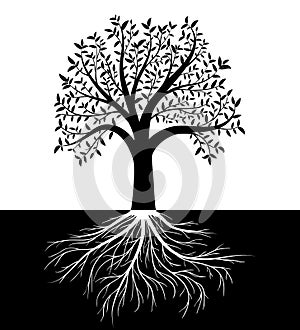 Tree silhouette with leaves and roots vector background