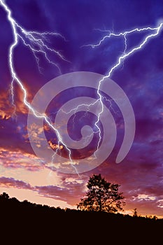 Tree silhouette and lightning