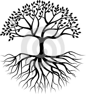 Tree silhouette with root