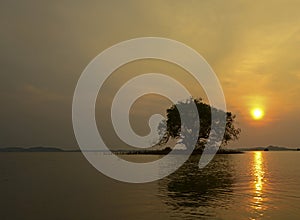 Tree silhouette with sun and red orange yellow sky,Thailand