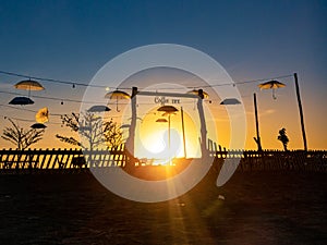 Tree silhouette with sunrise in the morning