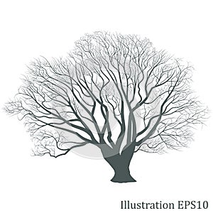 Tree silhouette, Vector eps10