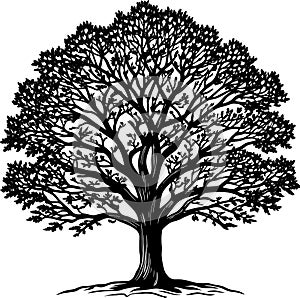 A tree silhouette vector illustration file project.