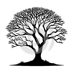 Tree silhouette vector illustration on white background