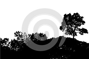 Tree silhouette vector photo