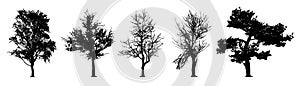 Tree silhouette vector set.
