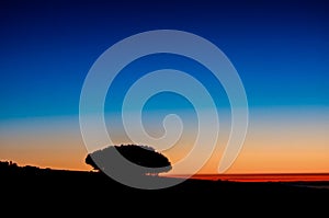 A tree is silhouetted against a blue sky