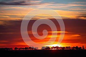 Tree silhouettes agains a colorful sunset