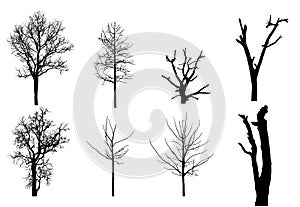 tree silhouettes isolated on white background