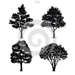 Tree silhouettes isolated on white background for landscape design. Vector