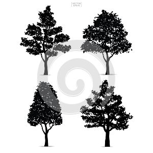 Tree silhouettes isolated on white background for landscape design. Vector