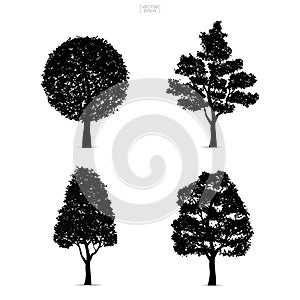 Tree silhouettes isolated on white background for landscape design. Vector