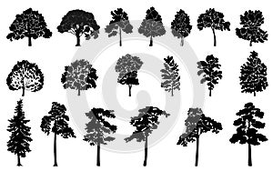 Tree silhouettes set. Deciduous and coniferous trees.