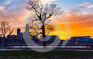 Tree silhouettes at sunset framing downtown Omaha Nebraska
