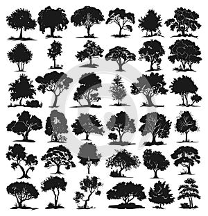 Tree silhouettes. Trees foliage black stencils isolated on white, realistic deciduous plants drawing elements