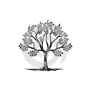 Tree silhouettes. Vector illustration. simple Olive tree silhouette icon isolated on white background