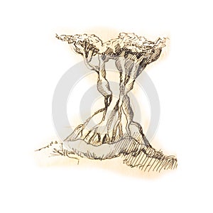 Tree sketch in old vintage drawing style