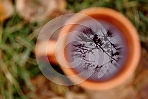 Tree and sky reflection point focus in black tea in orange cup against unfocused green grass and yellow leaves background.