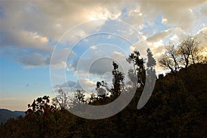 Tree and sky showing beauty of nature with beautiful landscape.