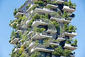 Tree skyscraper in Milan, Italy