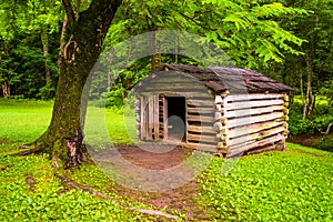 Tree and small log cabin at Cade's Cove, Great Smoky Mountains N