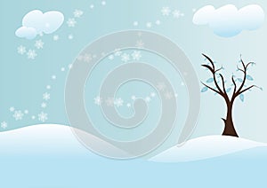 Tree with snow background