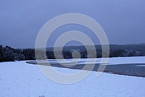 Tree on snow covered land