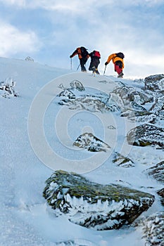 Tree snow hikers climbing a snowy mountain during a snowstorm