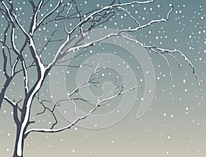 Tree in snowfall