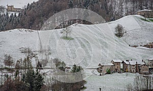 Un albero nevoso prato 