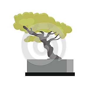 Tree Souvenir Accessoire. Money Tree Icon