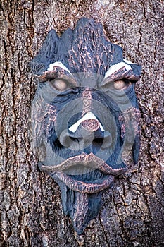 Tree spirit with snow on its nose - dark hanging woody greenman on tree - closeup