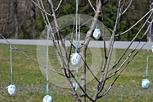 Tree spring easter eggs life