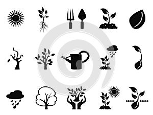 Tree sprout growing icons set