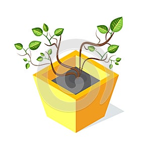 Tree in Square Shape Flower-Pot, Vector Green Leaf