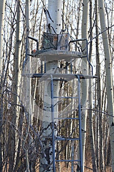 Tree stand