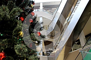 Tree stands in the mall on the background of the stairs