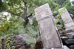 Tree and stele where the last emperor of the Ming Dynasty, Chongzhen, hanged himself in Jingshan Park, Beijing, China.