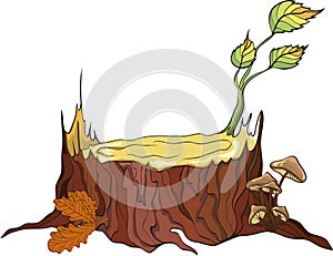 Tree Stub and mushrooms, detailed photo