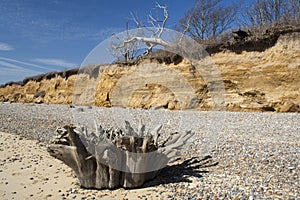 Tree Stump on Benacre Beach, Suffolk, England