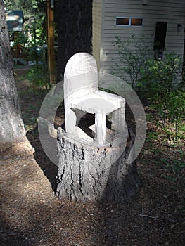 Tree stump chair with sunlight