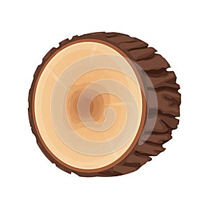 Tree stump, cross section of tree, textured, detailed isolated on white background in flat cartoon style. Cut round