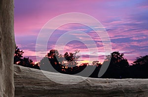 Tree stump on forground and colorful skyline background